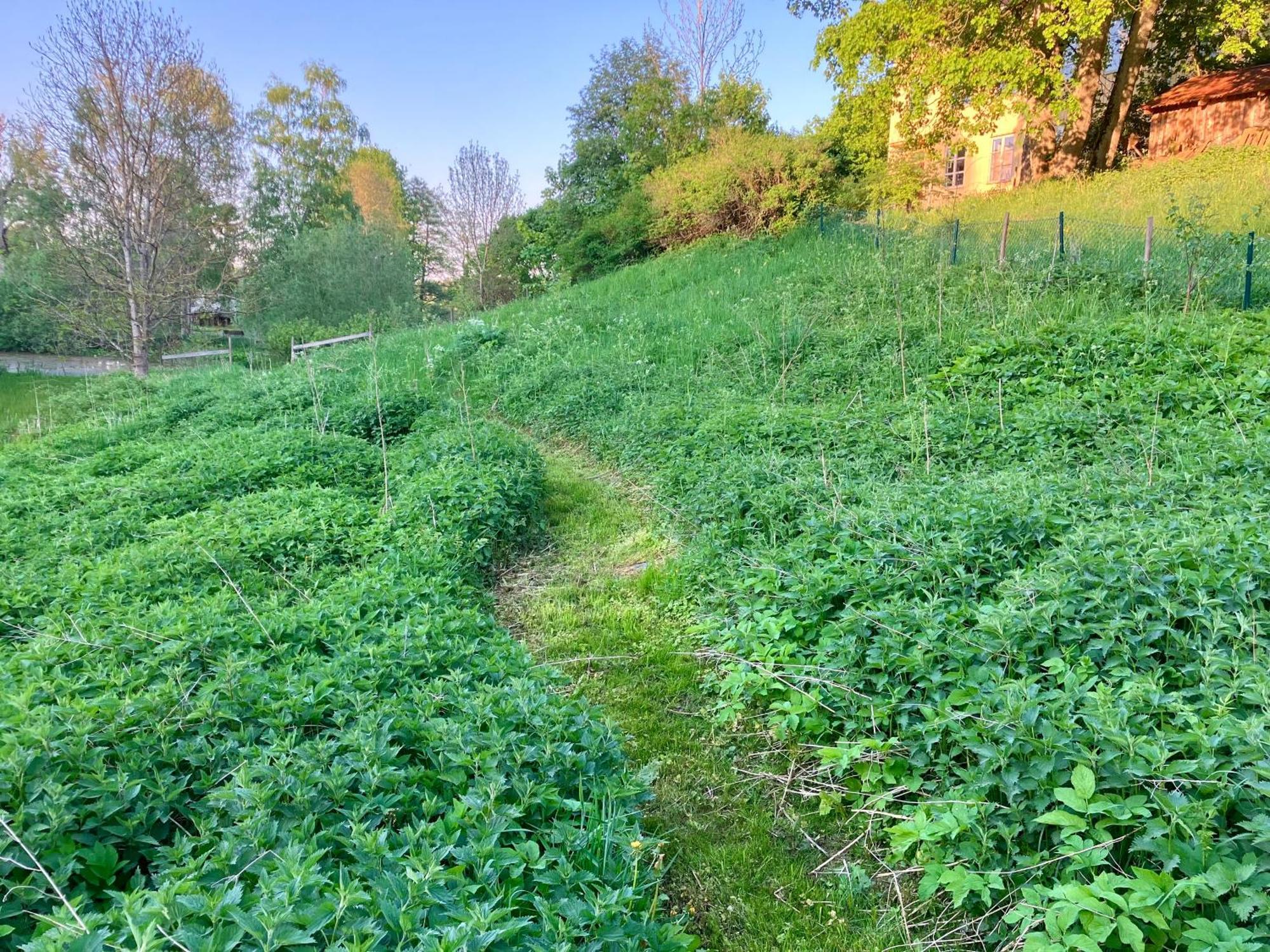 Lidhem Herrgard. Bed & Breakfast Och Mindre Laegenheter Vimmerby Buitenkant foto