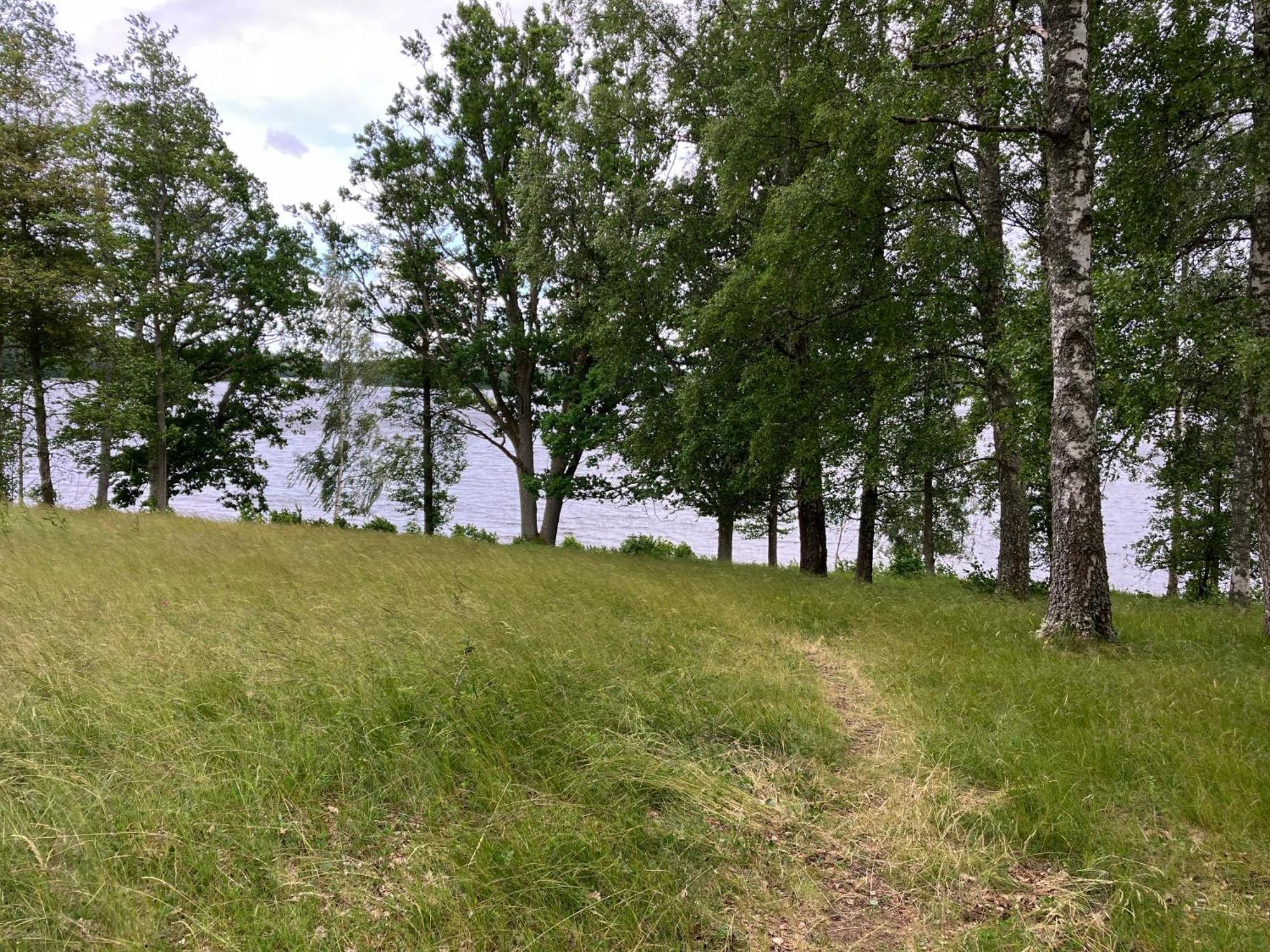 Lidhem Herrgard. Bed & Breakfast Och Mindre Laegenheter Vimmerby Buitenkant foto