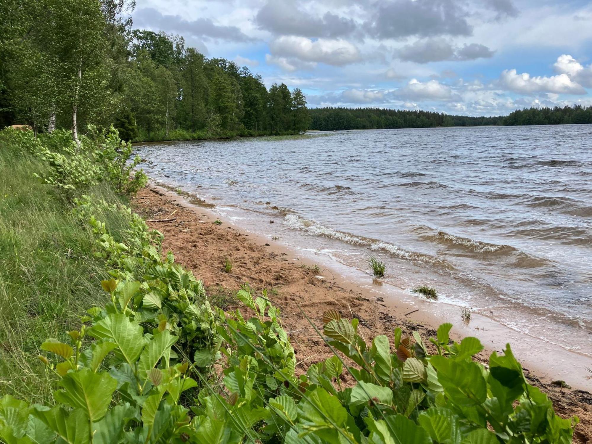 Lidhem Herrgard. Bed & Breakfast Och Mindre Laegenheter Vimmerby Buitenkant foto