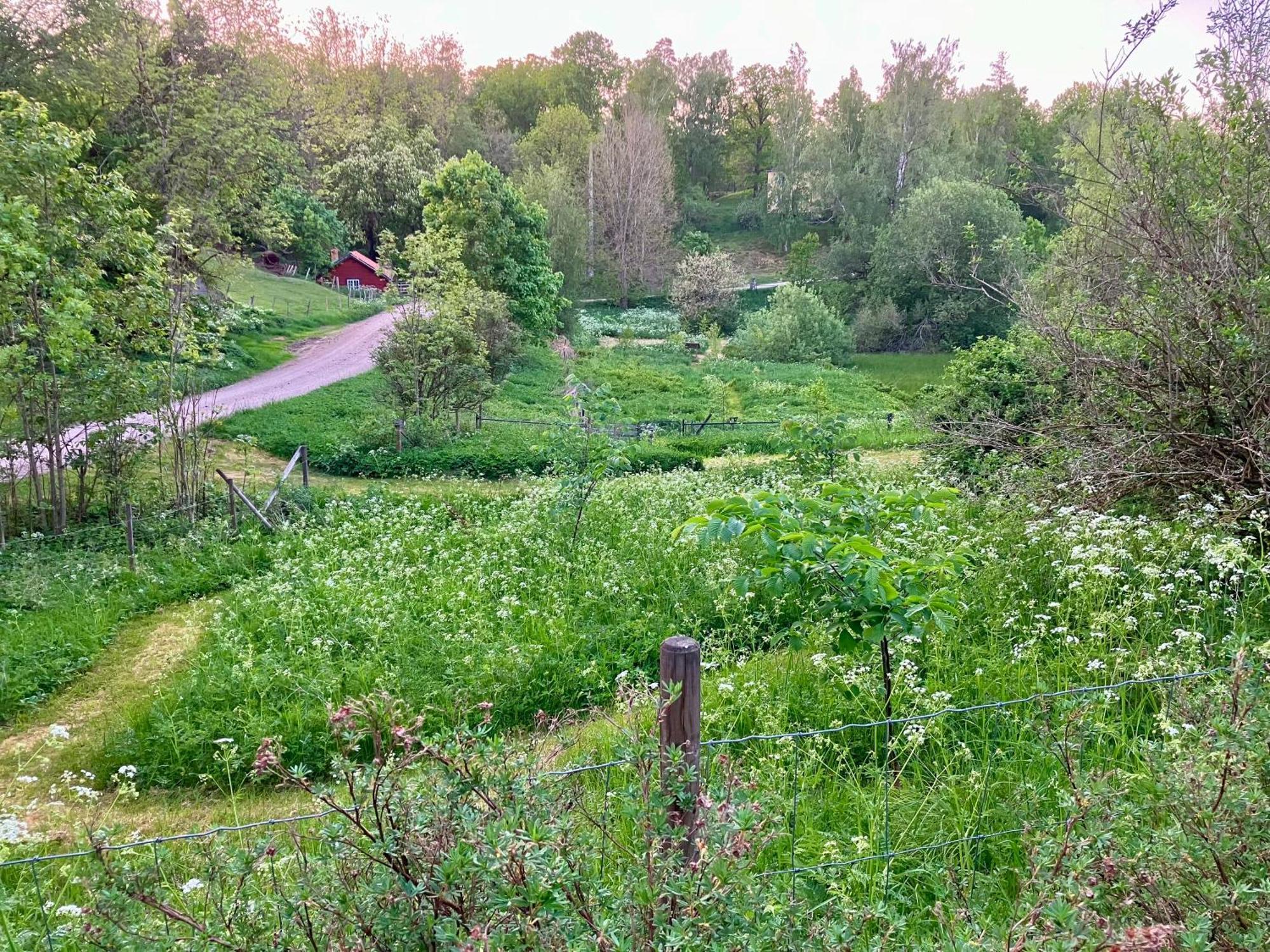 Lidhem Herrgard. Bed & Breakfast Och Mindre Laegenheter Vimmerby Buitenkant foto