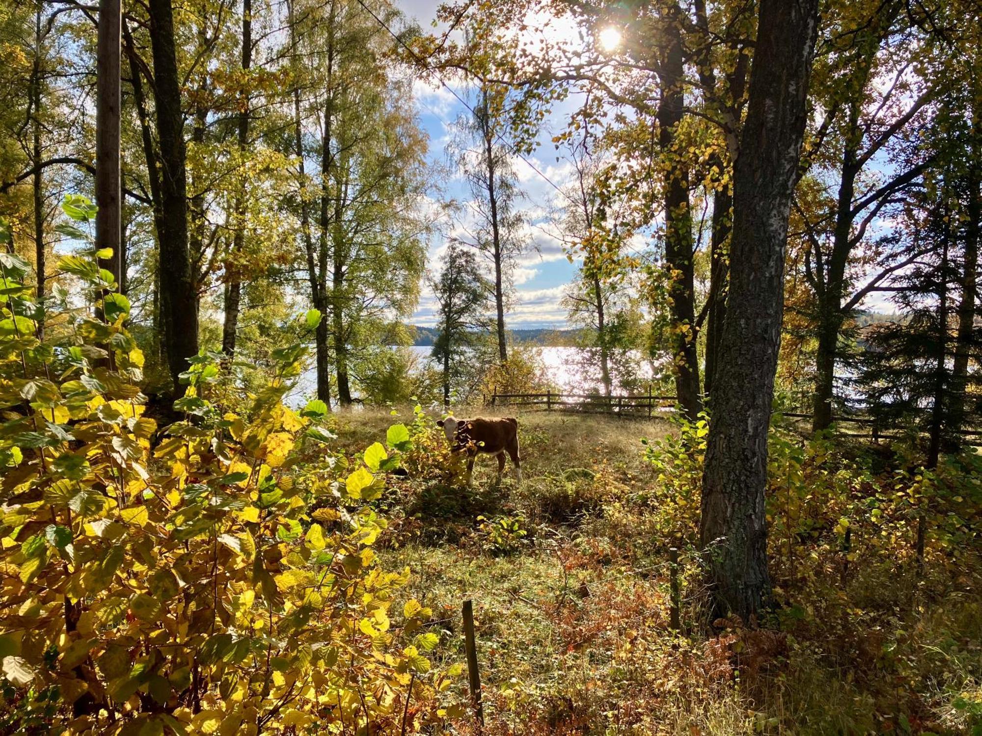 Lidhem Herrgard. Bed & Breakfast Och Mindre Laegenheter Vimmerby Buitenkant foto